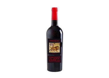 DI MAJO Tintilia Del Molise Doc 2020 cl.75 14%