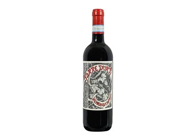 TORRE D'ORTI Valpolicella Superiore Ripasso 2021 cl.75