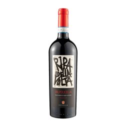 OTTELLA Valpolicella Biologico RIPA DELLA VOLTA 2020 cl.75 12.5°