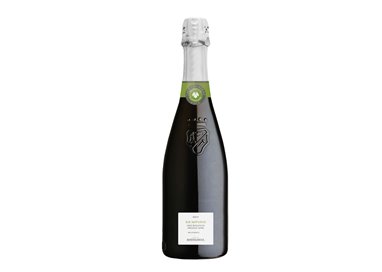 BORTOLOMIOL Valdobbiadene Docg Brut Biologico IUS NATURAE 2021 cl.75