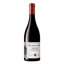 DOMAINE GUY AMIOT Bourgogne Santenay Villages 2020 cl.75