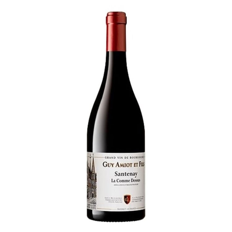 DOMAINE GUY AMIOT Bourgogne Santenay Villages 2020 cl.75 DOMAINE GUY AMIOT Bourgogne Santenay Villages 2020 cl.75