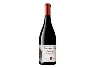 DOMAINE GUY AMIOT Bourgogne Santenay Villages 2020 cl.75