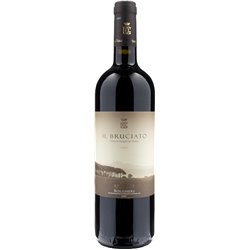 GUADO AL TASSO Bolgheri Il Bruciato 2021 Cl.75 14.5°