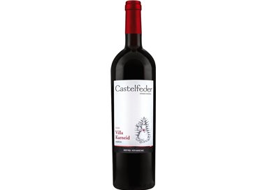 CASTELFEDER Lagrein VIGNA VILLA KARNEID 2019 Cl.75