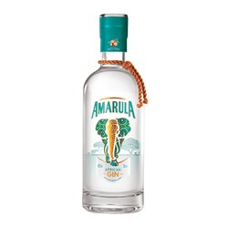 S. AMARULA African Gin Cl. 70 43%