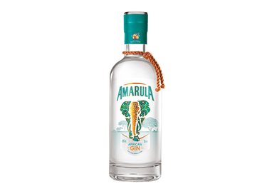 S. AMARULA African Gin Cl. 70 43%