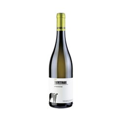 SAN SALVATORE Fiano Paestum Igp TRENTENARE 2022 cl.75