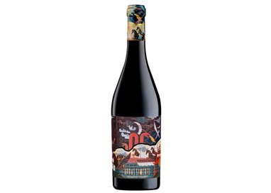 DOMINI VENETI Rosso Veronese APPASSIMENTO MARCO POLO 2022 Cl 75 14%