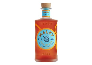 MALFY Gin con Arancia cl.70 41%