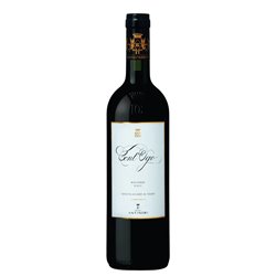 GUADO AL TASSO Bolgheri CONT'UGO 2021 Cl.75