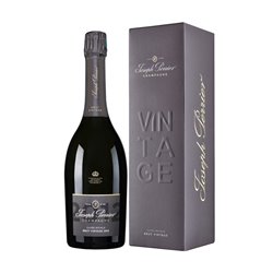 JOSEPH PERRIER Champagne Millesimato 2012 Magnum Astuccio Cl.75