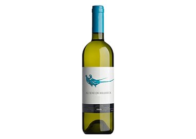 GAJA Langhe Doc Sauvignon Blanc ALTENI DI BRASSICA 2021 cl.75