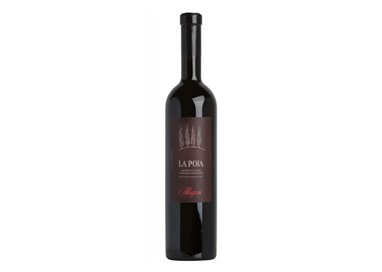 ALLEGRINI Corvina Veronese Igt LA POJA 2018 cl.75 14.5%