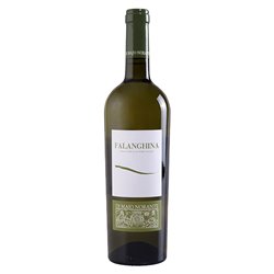 DI MAJO Falanghina Del Molise Doc Bio 2022 cl.75 13.5%