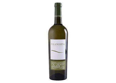 DI MAJO Falanghina Del Molise Doc Bio 2022 cl.75 13.5%