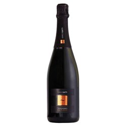 Enrico Gatti Franciacorta Nature Docg cl.75 12.5%