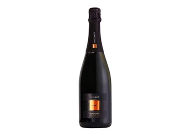 Enrico Gatti Franciacorta Nature Riserva 2015 La Casella cl.75 12.5%