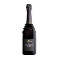 CONTADI CASTALDI Franciacorta Pinonero NATURA 2011 Cl.75