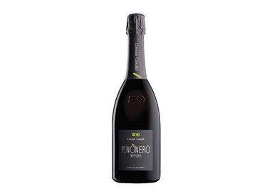 CONTADI CASTALDI Franciacorta Pinonero NATURA 2011 Cl.75