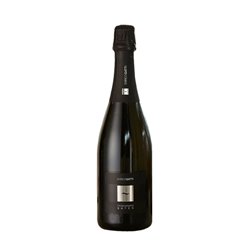 ENRICO GATTI Franciacorta Docg Saten Millesimato 2019 cl.75 12.5%