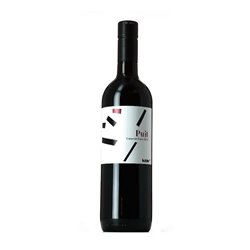 ARMIN KOBLER Cabernet Franc PUIT 2019 Cl.75