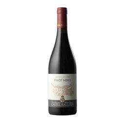 Castel Sallegg Pinot Nero 2020 Cl.75