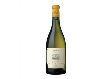 Castello Della Sala Cervaro della Sala Umbria Igt 2022 cl.75 13%