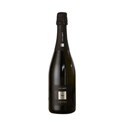 Enrico Gatti Franciacorta Docg Saten Millesimato 2020 cl.75 12.5%