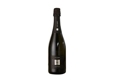 Enrico Gatti Franciacorta Docg Saten Millesimato 2020 cl.75 12.5%