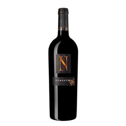 Bodega Numanthia Toro Numanthia 2018 cl.75