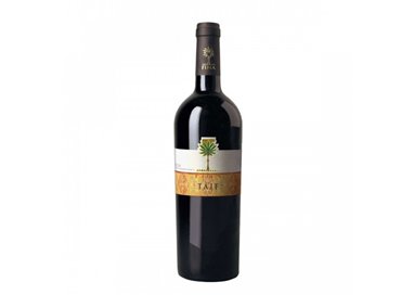 Cantine Fina Zibibbo Igp Terre Siciliane Taif 2023 cl.75 13.5%