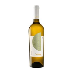 Conti Zecca Chardonnay Cantalupi Puglia Igp 2023 cl.75