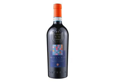Ottella Lugana Riserva Doc Molceo 2020 cl.75 13%