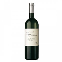 Zenato Lugana Massoni Santa Cristina Doc 2023 cl.75