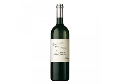 Zenato Lugana Massoni Santa Cristina Doc 2023 cl.75