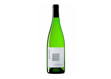 La Valentina Pecorino Colline Pescaresi Igt 2023 cl.75 13.5%