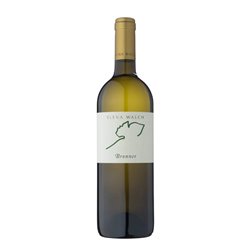 Elena Walch Bronner Mitterberg Igt 2023 cl.75