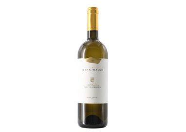 Elena Walch Pinot Grigio Vigna Castel Ringberg Alto Adige 2022 cl.75