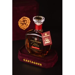 Distilleria Castagner - Grappa Fuoriclasse Leon riserva 20 anni  Barrique - 0,70 - 40°°
