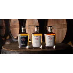 Distilleria Castagner - Grappa Fuoriclasse Leon riserva 20 anni  Barrique - 0,70 - 40°°