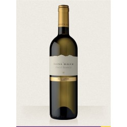 Pinot Blanc Alto Adige