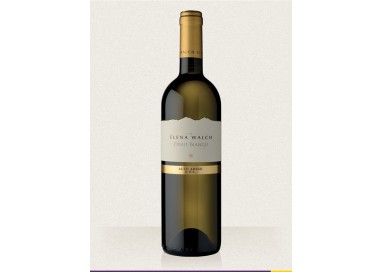 Pinot Blanc Alto Adige