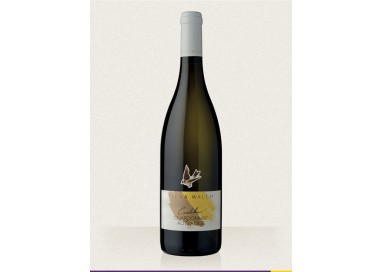 Elena Walch - Chardonnay Cardellino