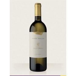 Elena Walch - Pinot Grigio Vigna Castel Ringberg