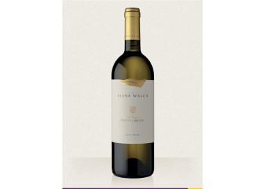 Elena Walch - Pinot Grigio Vigna Castel Ringberg
