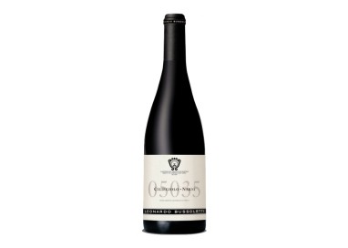 6 Bottiglie Vino Rosso 05035 Ciliegiolo di Narni IGT Società Agricola Leonardo Bussoletti -cz