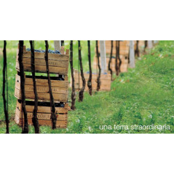 Amarone della Valpolicella Doc  Monte Sant’Urbano 2012  Fratelli Speri