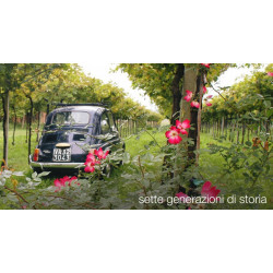 Amarone della Valpolicella Doc  Monte Sant’Urbano 2012  Fratelli Speri