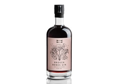 GS DISTRIBUZIONE ITALIA Srl E FC  GIN SLOE-Broken Bones 0,500